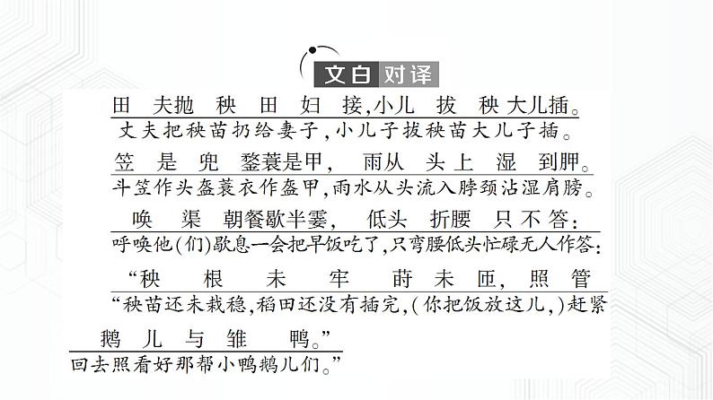 2021-2022学年新教材部编版语文必修上册课件：插秧歌第3页