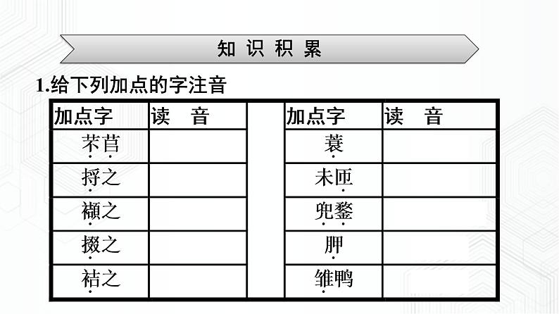 2021-2022学年新教材语文人教版必修上册课件：第2单元+6.芣苢+插秧歌第8页