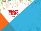 《百合花》課件統(tǒng)編版高中語文必修上冊