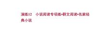 2021-2022学年人教版语文高中专题复习演练12　小说阅读专项练•群文阅读•名家经典小说课件PPT