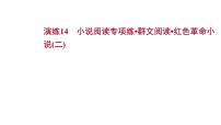 2021-2022学年人教版语文高中专题复习演练14　小说阅读专项练•群文阅读•红色革命小说(二)课件PPT