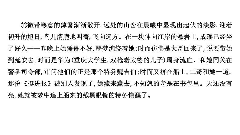 2021-2022学年人教版语文高中专题复习演练14　小说阅读专项练•群文阅读•红色革命小说(二)课件PPT第7页