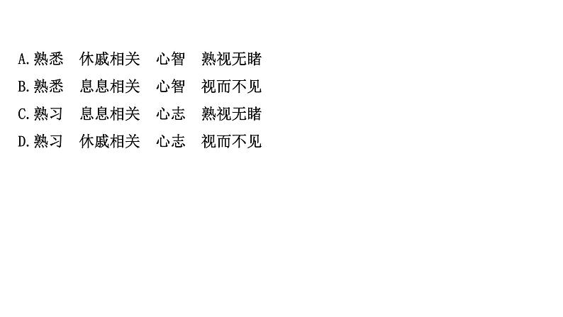 2021-2022学年人教版语文高中专题复习演练40　正确辨析选用近义成语专项练课件PPT第3页