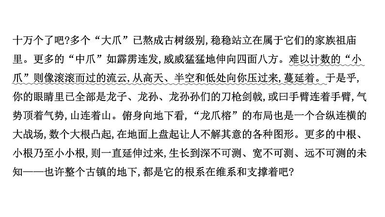 2021-2022学年人教版语文高中专题复习演练44　标点、修辞、句子效果、连贯(含补写句子)、词语、语病综合训练(二)课件PPT第3页