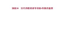 2021-2022学年人教版语文高中专题复习演练30　古代诗歌阅读专项练•形象的鉴赏课件PPT