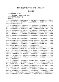 广东省梅州市2020-2021学年高二下学期期末考试语文试题 Word版含答案