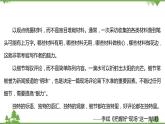 2021-2022学年高中语文部编版必修上册同步课件：第二单元+5以工匠精神雕琢时代品质