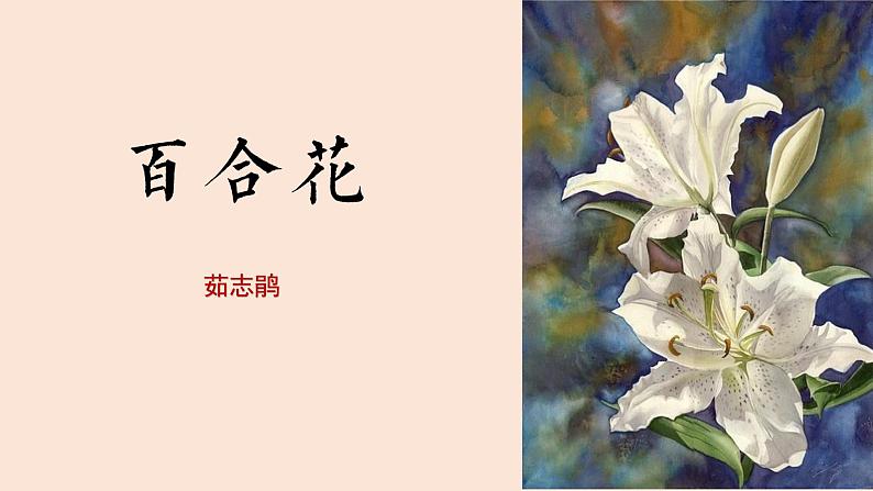 3.《百合花》课件32张  2021-2022学年统编版高中语文必修上册第1页