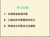 北师大版高中语文必修二 3.我愿意是急流_课件