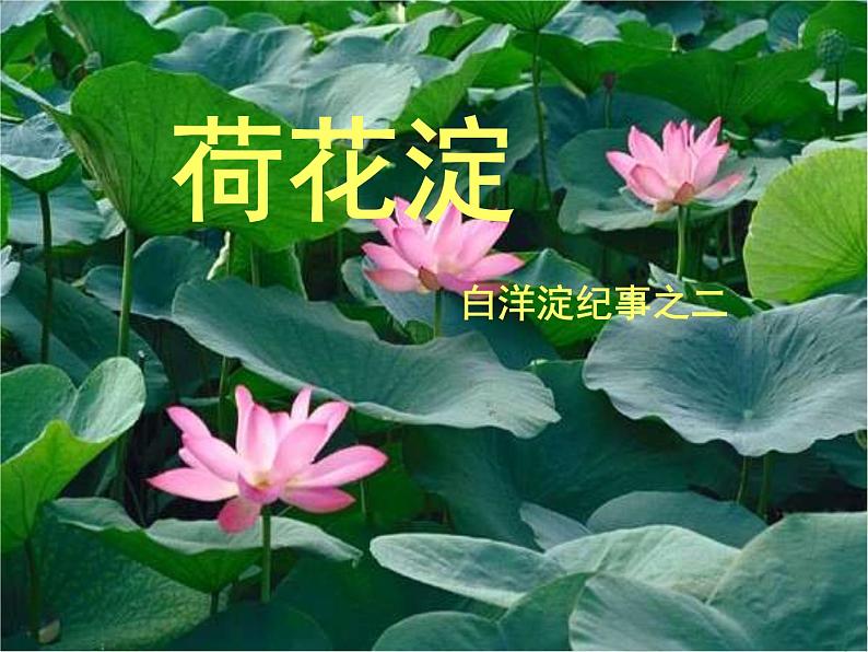 北师大版高中语文必修二 7.荷花淀----白洋淀纪事之二_课件01