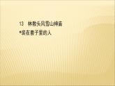 2020-2021學年高中語文 人教部編版 必修下冊：第六單元 13 林教頭風雪山神廟 裝在套子里的人  課件（共94頁）