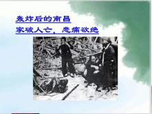 高中语文北师大版必修一我爱这土地课文课件ppt_ppt03