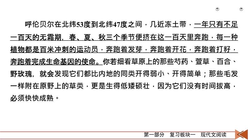 2020-2021学年 高中语文 二轮复习 专题4  散文阅读 分析散文形象  课件（共52页）06