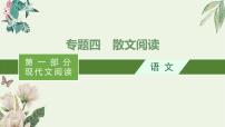 2020-2021学年 高中语文 二轮复习 专题四散文阅读 精品课件