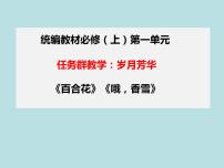 高中语文人教统编版必修 上册3.1 百合花评课课件ppt