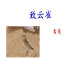 高一語(yǔ)文統(tǒng)編版必修上冊(cè)第二課4《致云雀》課件+教案+練習(xí)