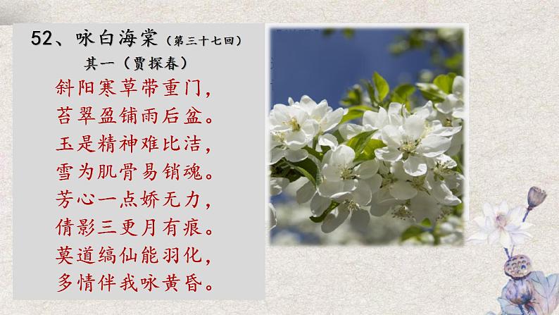 统编版高中语文必修下册《红楼梦》诗词曲赋名篇鉴赏课件第12讲《咏白海棠》第3页
