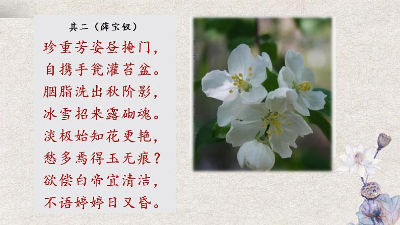 统编版高中语文必修下册《红楼梦》诗词曲赋名篇鉴赏课件第12讲《咏白海棠》第7页