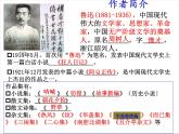 高中语文人教版必修1 第三单元 7 记念刘和珍君 课件（共52页）