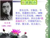 人教版高中语文必修二《荷塘月色》课件 （54张PPT）