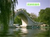 人教版必修二3.《囚绿记》课件30张