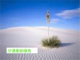 人教版必修二3.《囚绿记》课件30张
