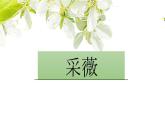 人教版必修二高一《采薇》课件（共26张PPT）
