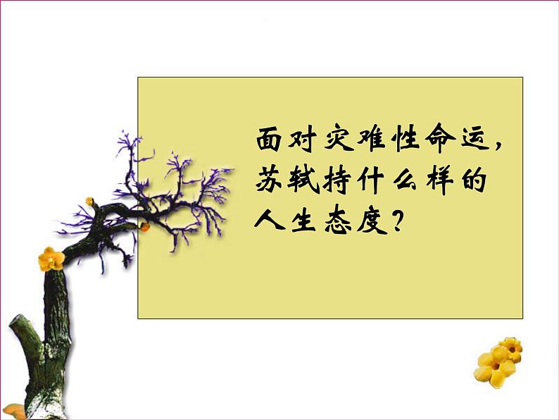 人教版语文必修2第9课赤壁赋(共24张ppt)第5页