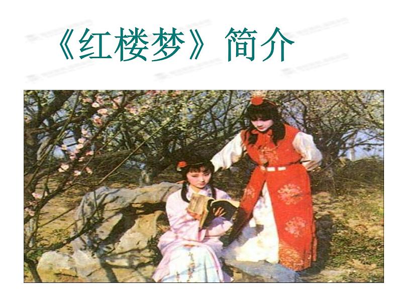 1.《林黛玉进贾府》课件55张人教版高中语文必修三08