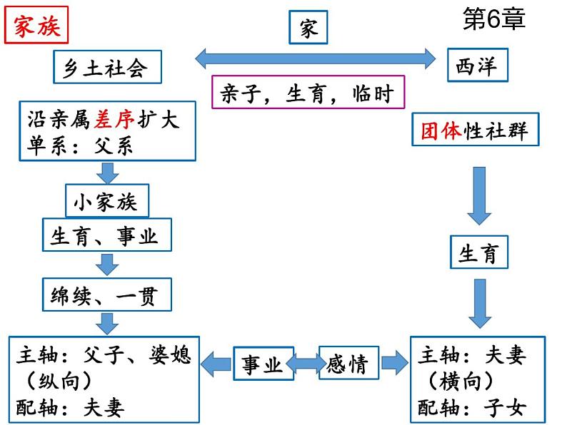 统编版高中语文必修上册《乡土中国》思维导图(各个章节)课件（15张PPT）第6页