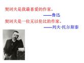 【新教材】13-2《装在套子里的人》课件（48张） ——2020-2021学年高中语文部编版（2019）必修下册