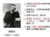 【新教材】13-2《装在套子里的人》课件（48张） ——2020-2021学年高中语文部编版（2019）必修下册