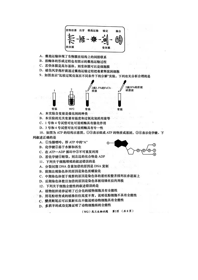 武功县2021-2022学年度第一学期高三上学期摸底考试生物试题第3页