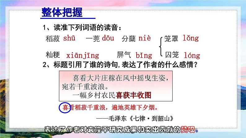 4.1《喜看稻菽千重浪》课件  2021-2022学年统编版高中语文必修上册第3页