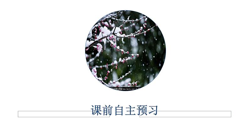 2020-2021学年高中语文部编版必修上册百合花课件（38张）（全国版）第1页