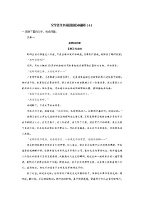 新高考语文一轮复习文学类文本阅读提优必刷卷（4）