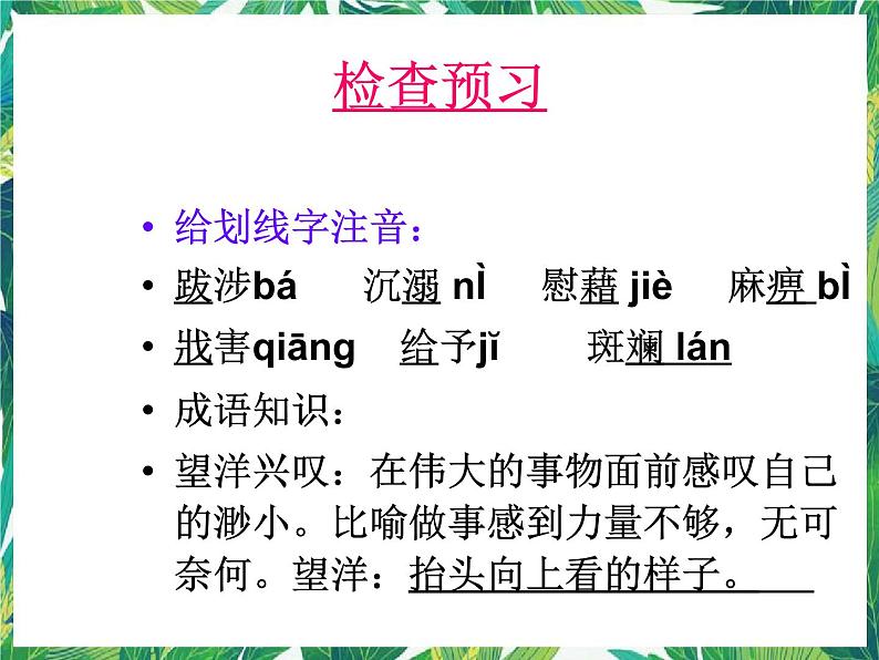 苏教版高一语文必修一 2.2《获得教养的途径》课件+教案+学案+练习06