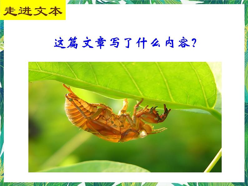 苏教版高一语文必修一 3.1.2《我心归去》课件+教案+学案+练习04