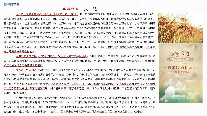 高考语文复习--实用类文本阅读2 连续性文本阅读科普类（课件）第3页