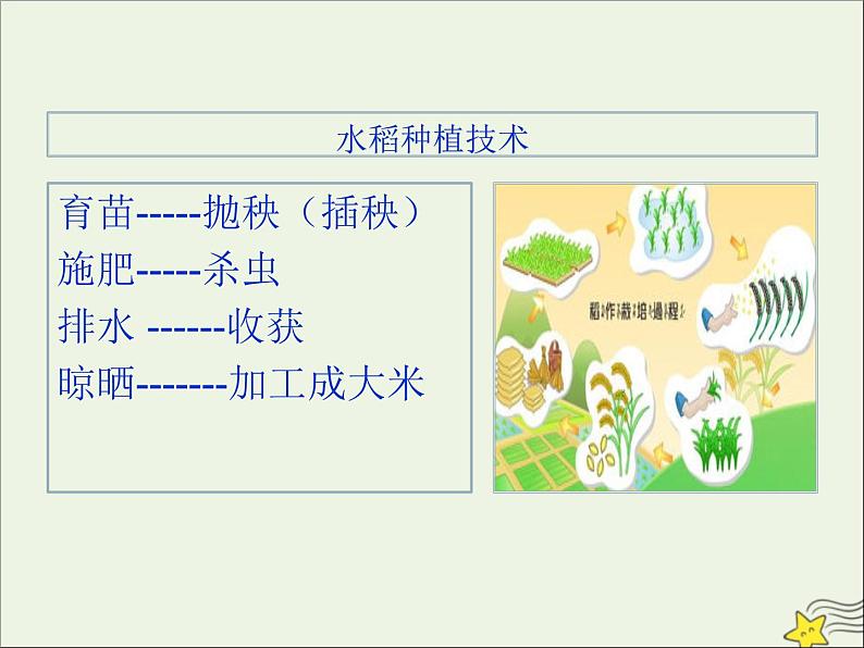 2021_2022年新教材高中语文6插秧歌课件部编版必修上册202109292161第3页