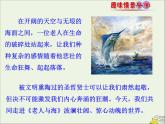 2021_2022年新教材高中语文第三单元9老人与海课件部编版选择性必修上册