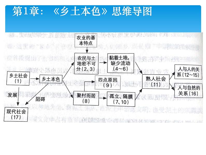 2022年高考语文总复习专题课件《乡土中国》整本书阅读思维导图课件第5页