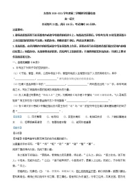 2020-2021学年广东省东莞市高一下学期期末语文试题（解析版）