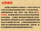 8.2《小二黑结婚(节选)》课件30张2021-2022学年统编版高中语文选择性必修中册