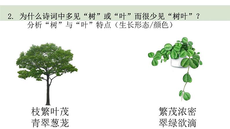 9.《说“木叶”》课件35张2021-2022学年统编版高中语文必修下册07