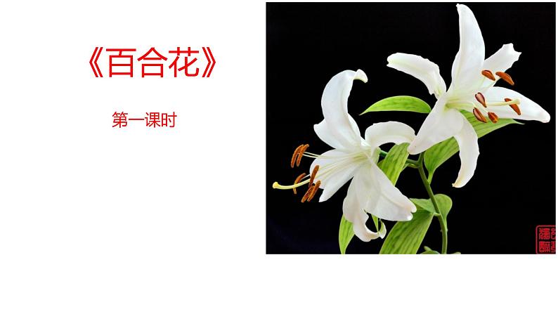 3.《哦，香雪》《百合花》课件36张2021-2022学年统编版高中语文必修上册第7页