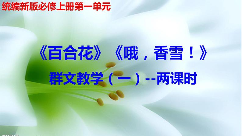 3.《哦，香雪》《百合花》群文阅读课件30张2021-2022学年统编版高中语文必修上册第1页