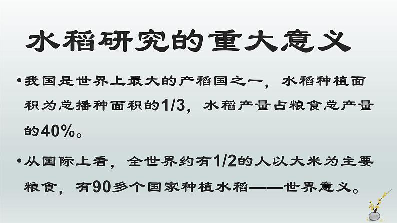 喜看稻菽千重浪――记首届国家最高科技奖获得者袁隆平PPT课件免费下载07