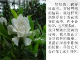 陕西省西安市第六十六中学高一语文课件：1.2.1《雨巷》（新人教版必修1）
