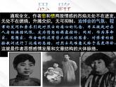 湖南省郴州市第五完全中学高一语文精品课件：《记念刘和珍君》（新人教版必修1）
